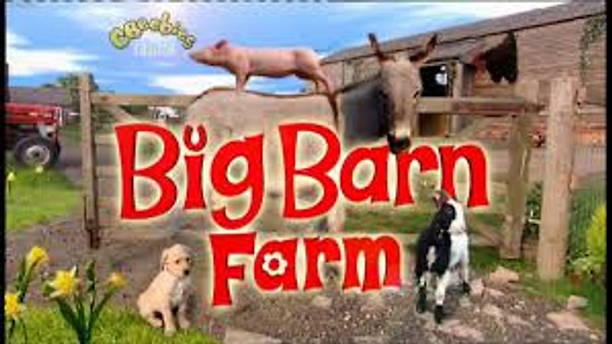 Playing Digger the dog in Big Barn Farm